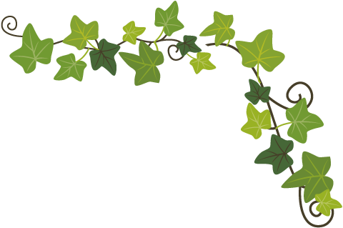 西坑香富硒大米特香好（富硒香米多少钱一斤）-硒宝网