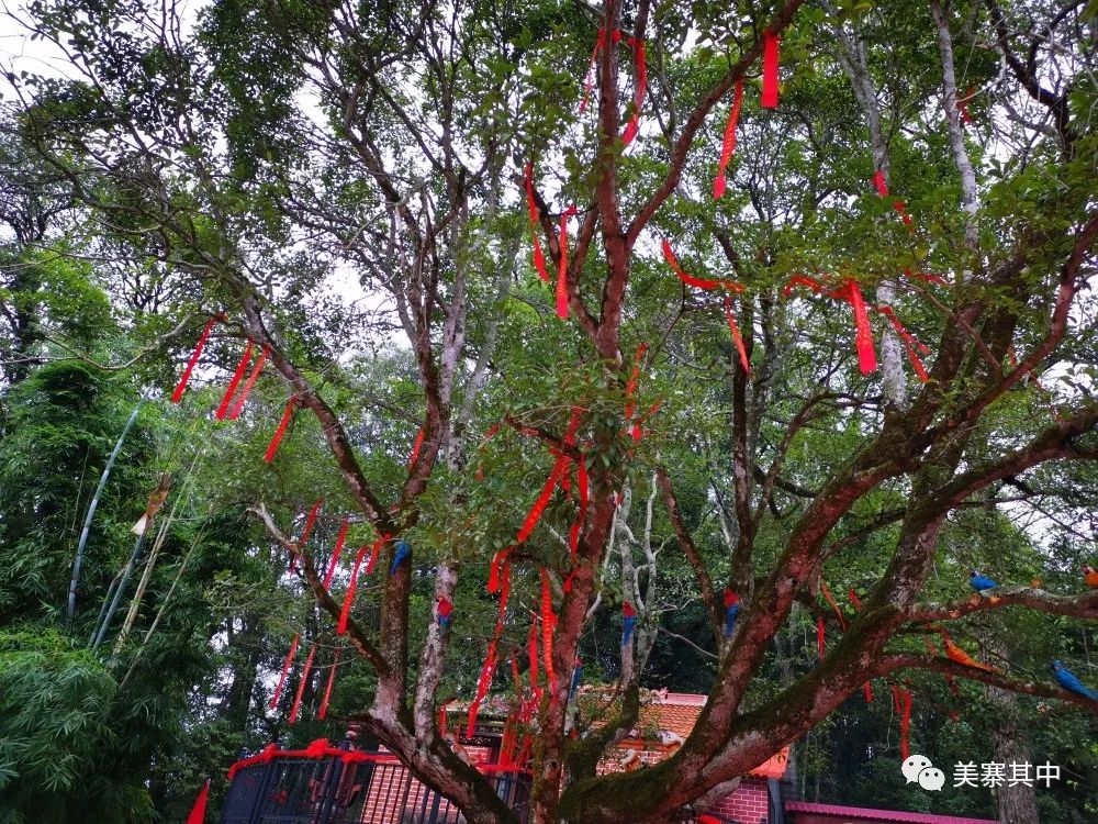 西坑香富硒大米特香好（富硒香米多少钱一斤）-硒宝网