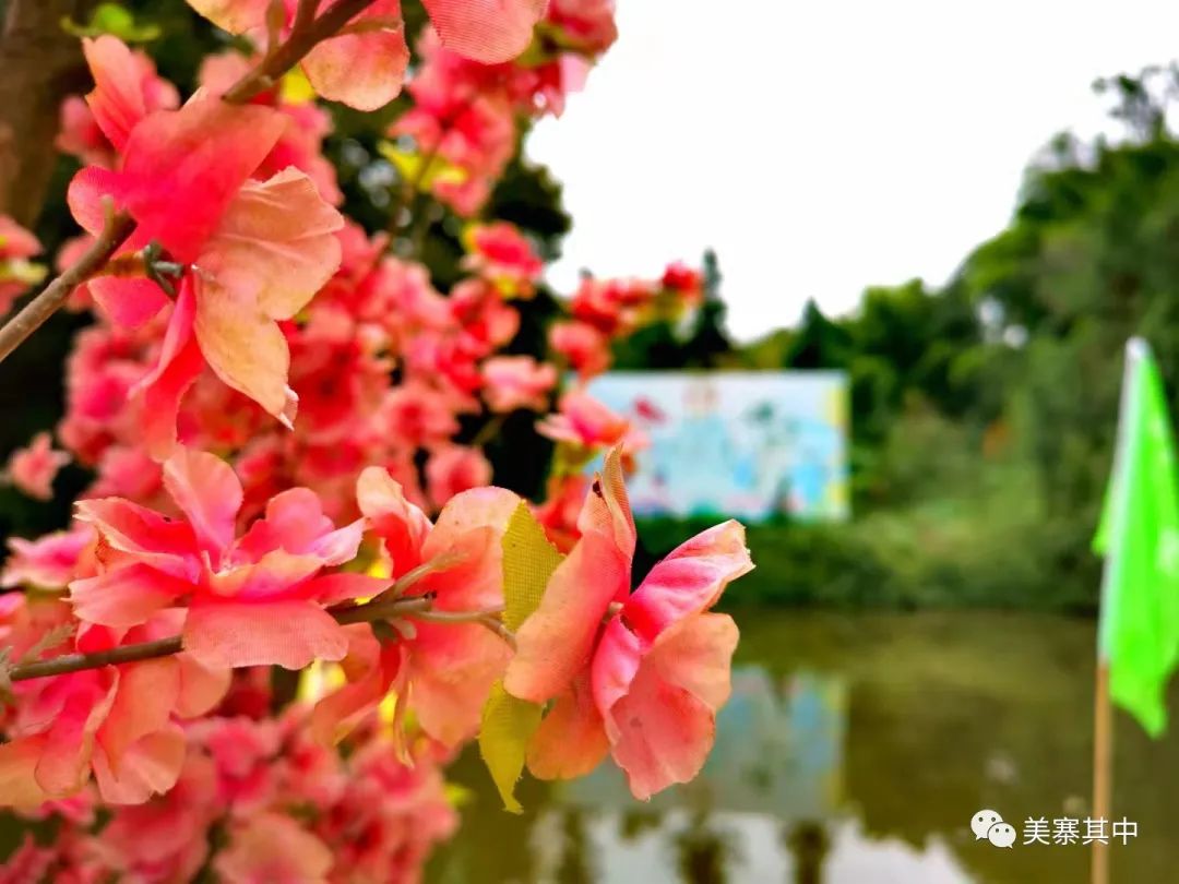 西坑香富硒大米特香好（富硒香米多少钱一斤）-硒宝网