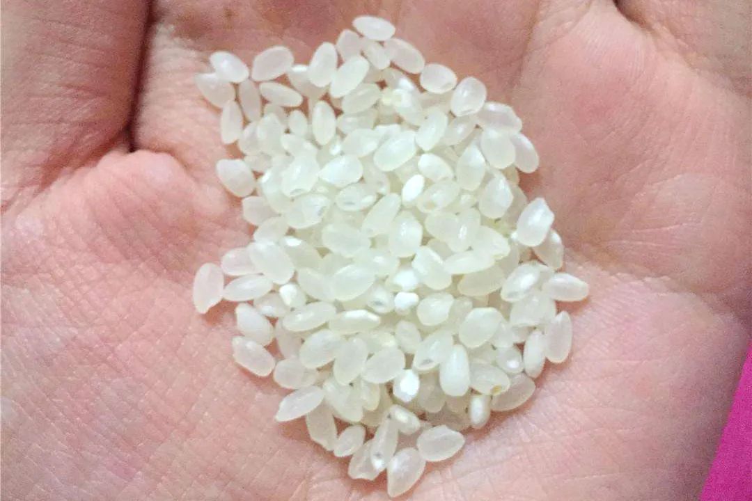 富硒大米在什么地方买(大米买地方富硒是真的吗)-硒宝网