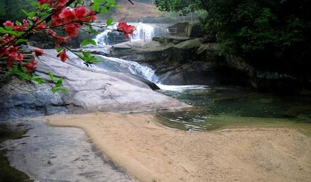 安徽石台县富硒村大米(石台富硒米哪个牌子好)-硒宝网