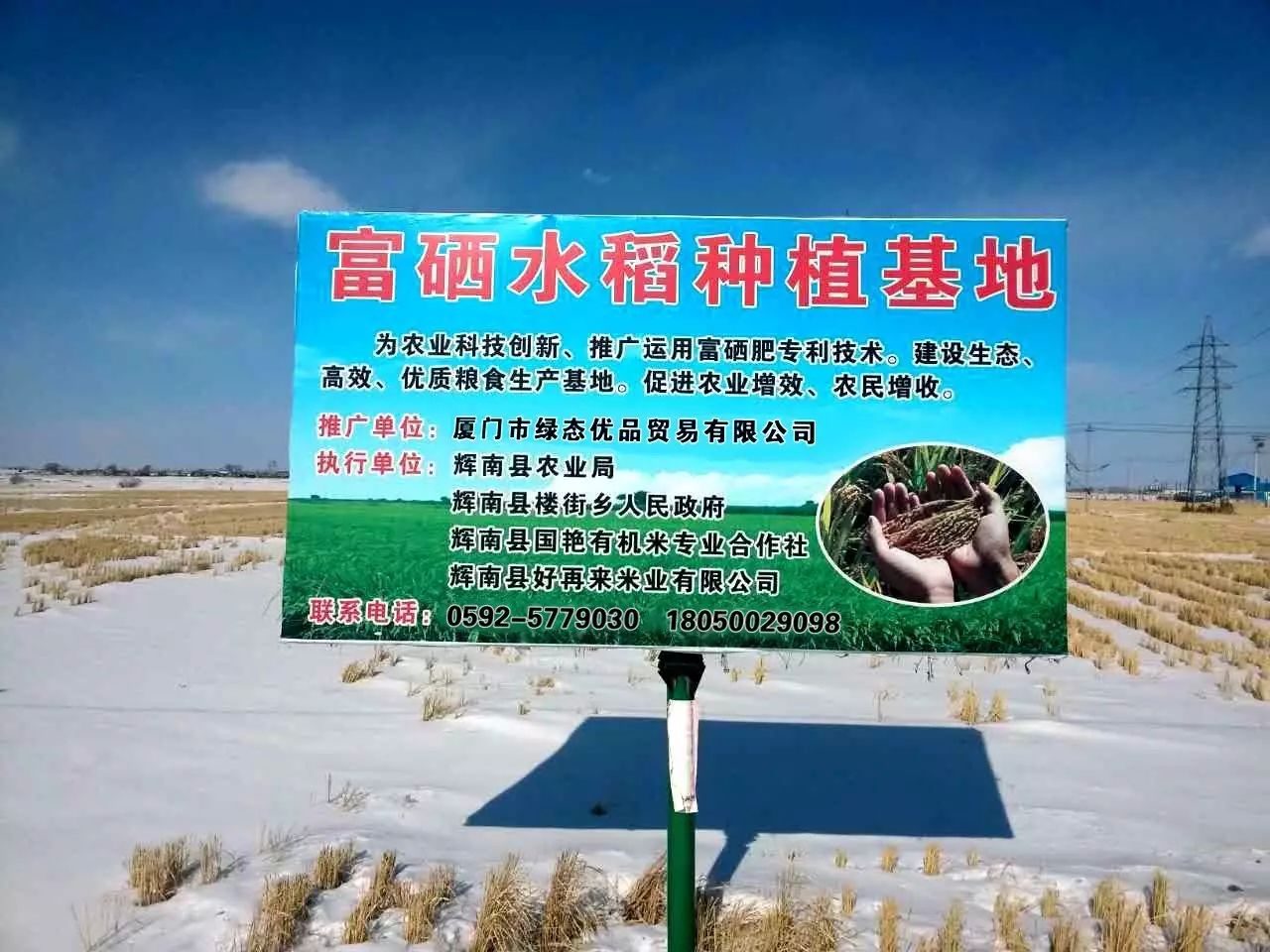 东北富硒大米生产厂家（富硒大米哪里生产最好）-硒宝网