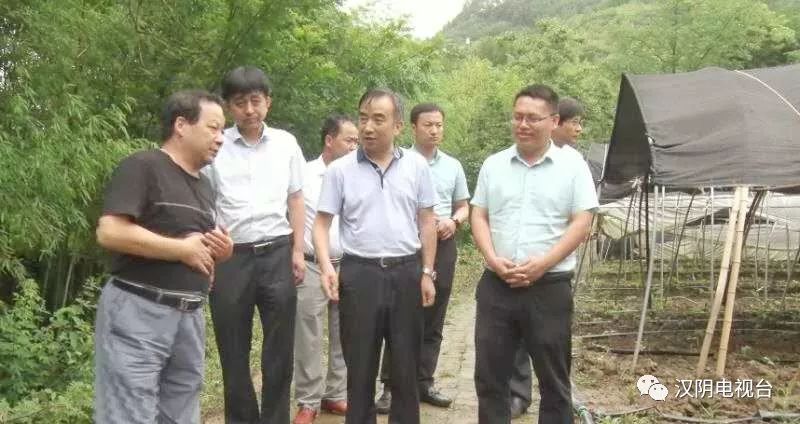 七叶莲农业富硒地大米(富硒大米种植)-硒宝网