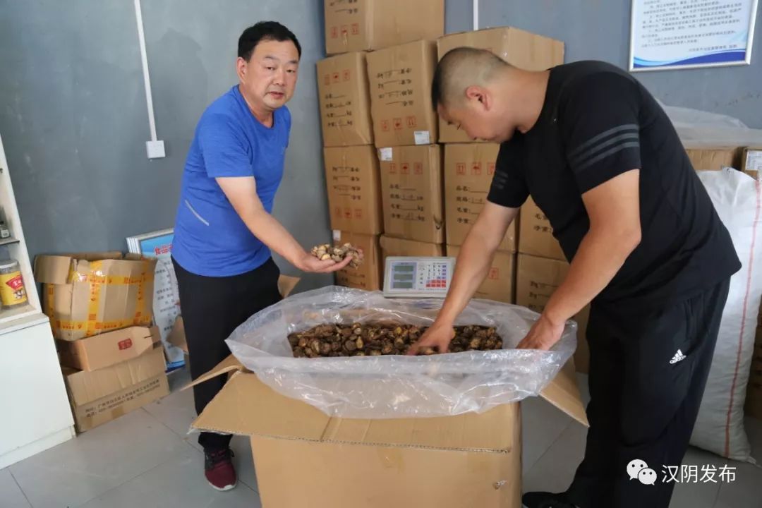 七叶莲农业富硒地大米(富硒大米种植)-硒宝网