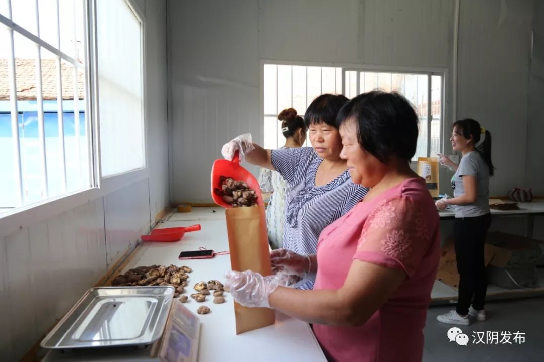 七叶莲农业富硒地大米(富硒大米种植)-硒宝网