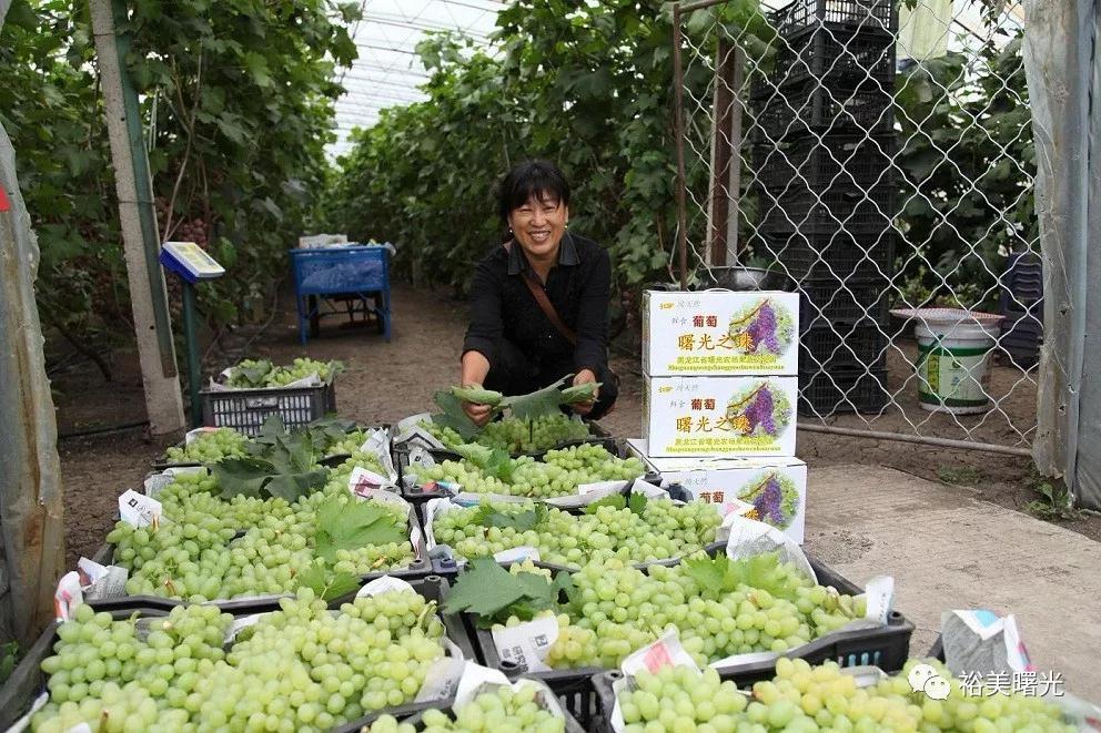 北大荒农场里富硒大米（黑龙江北大荒米业集团）-硒宝网