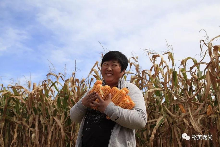 北大荒农场里富硒大米（黑龙江北大荒米业集团）-硒宝网