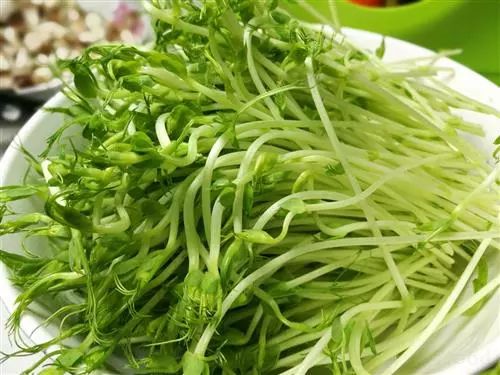 补锌吃什么好(补锌之后)-硒宝网