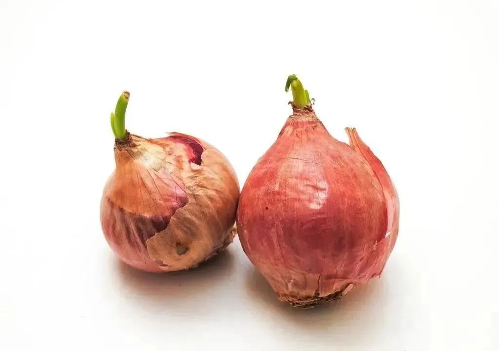 什么食物可以补钙(食物补钙可以超出500毫克吗)-硒宝网