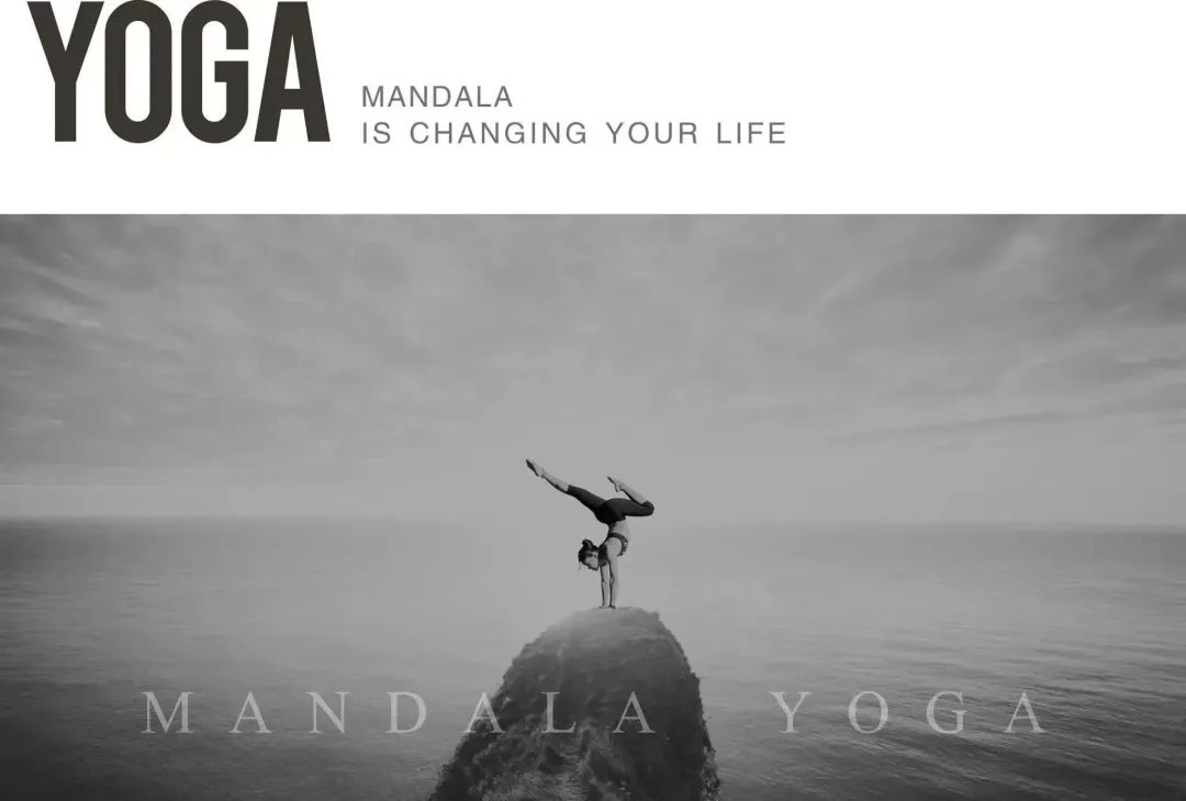 什么食物可以补钙(食物补钙可以超出500毫克吗)-硒宝网