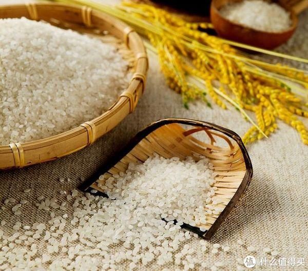 富硒大米煮饭是否能泡（大米饭泡水吃有什么好处）-硒宝网