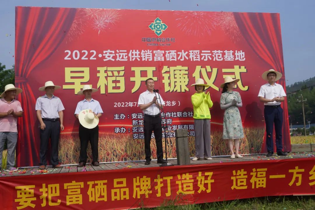 怎么选大米富硒好不好(富硒大米好在哪)-硒宝网