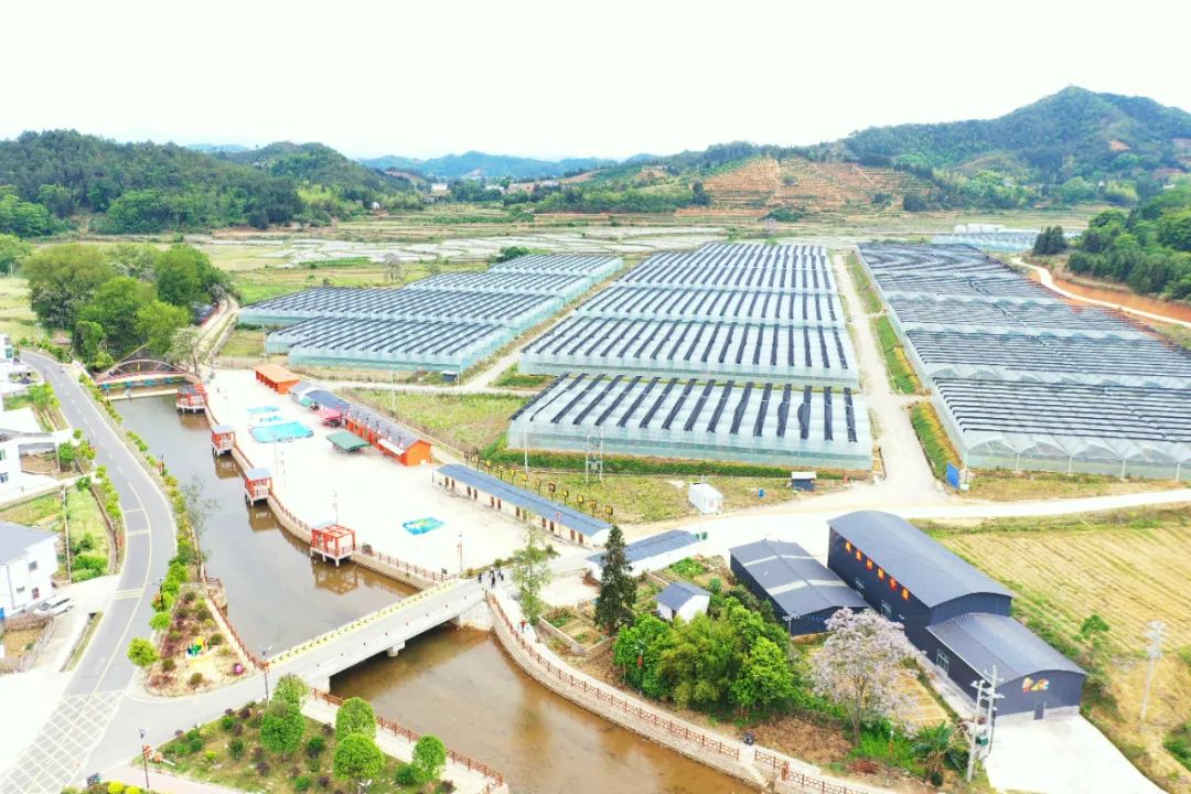 怎么选大米富硒好不好(富硒大米好在哪)-硒宝网