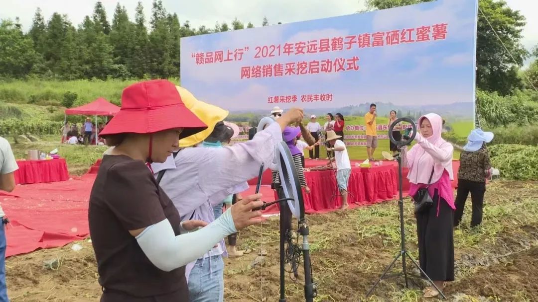 怎么选大米富硒好不好(富硒大米好在哪)-硒宝网