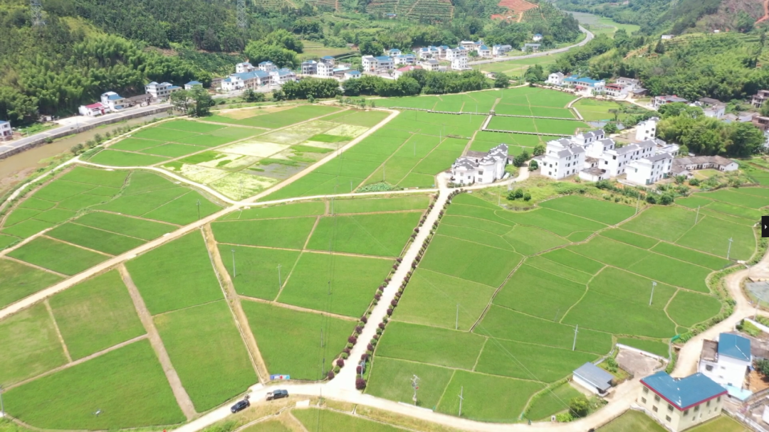 怎么选大米富硒好不好(富硒大米好在哪)-硒宝网