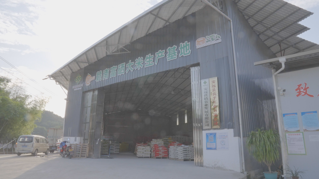 怎么选大米富硒好不好(富硒大米好在哪)-硒宝网