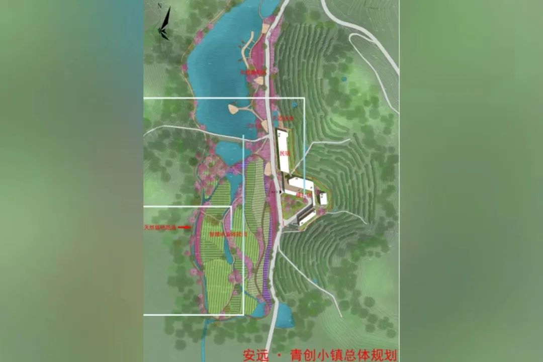 怎么选大米富硒好不好(富硒大米好在哪)-硒宝网