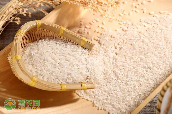 湖北富硒大米价格行情(湖北大米价格最新行情2020)-硒宝网