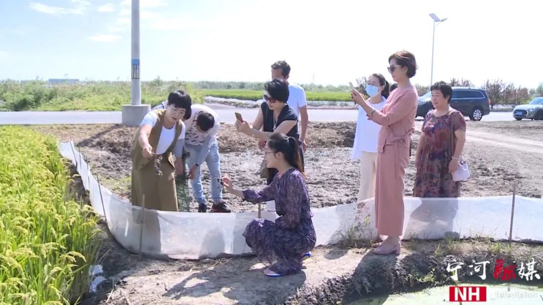 富硒蟹田大米有多好吃（蟹田大米好吃不）-硒宝网