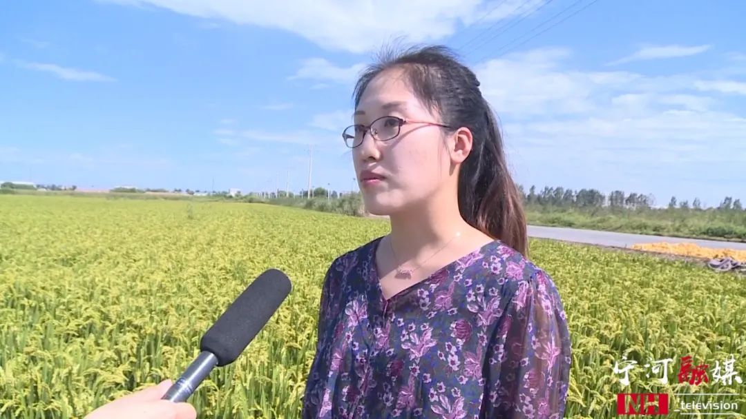 富硒蟹田大米有多好吃（蟹田大米好吃不）-硒宝网