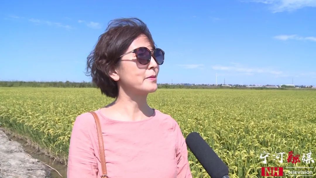 富硒蟹田大米有多好吃（蟹田大米好吃不）-硒宝网