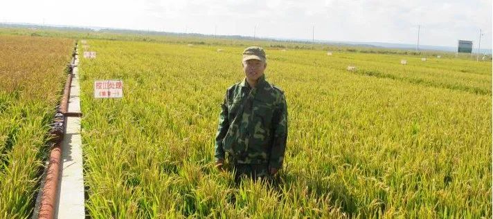 富硒蟹田大米有多好吃(稻田蟹大米营养成分)-硒宝网