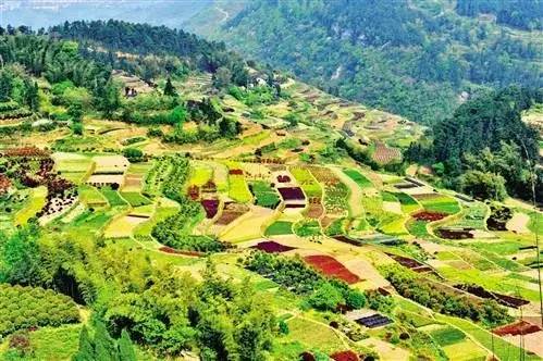 江津四面山的富硒大米(四面山富硒报告)-硒宝网