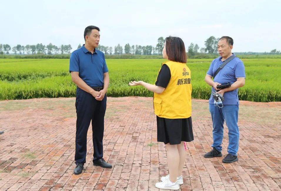 五常有机富硒大米简介（五常富硒米的功效和作用）-硒宝网