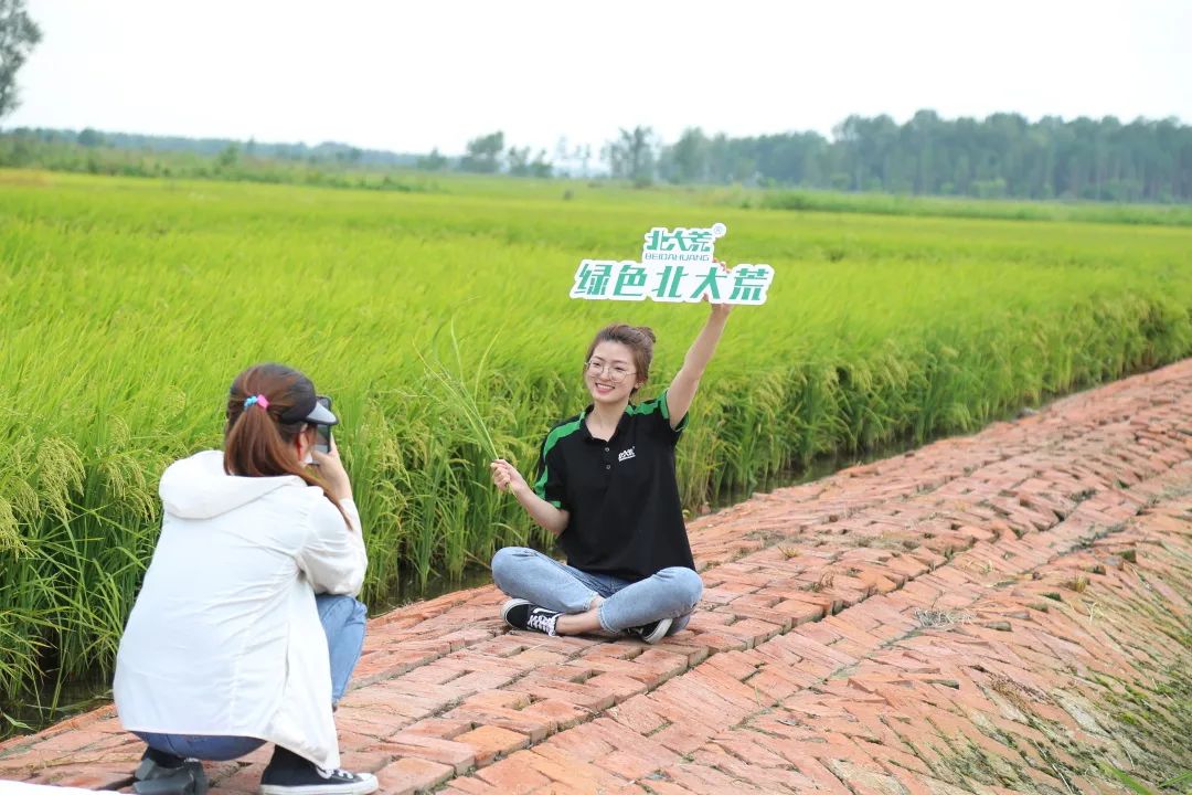 五常有机富硒大米简介（五常富硒米的功效和作用）-硒宝网