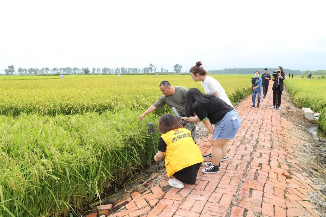 五常有机富硒大米简介（五常富硒米的功效和作用）-硒宝网