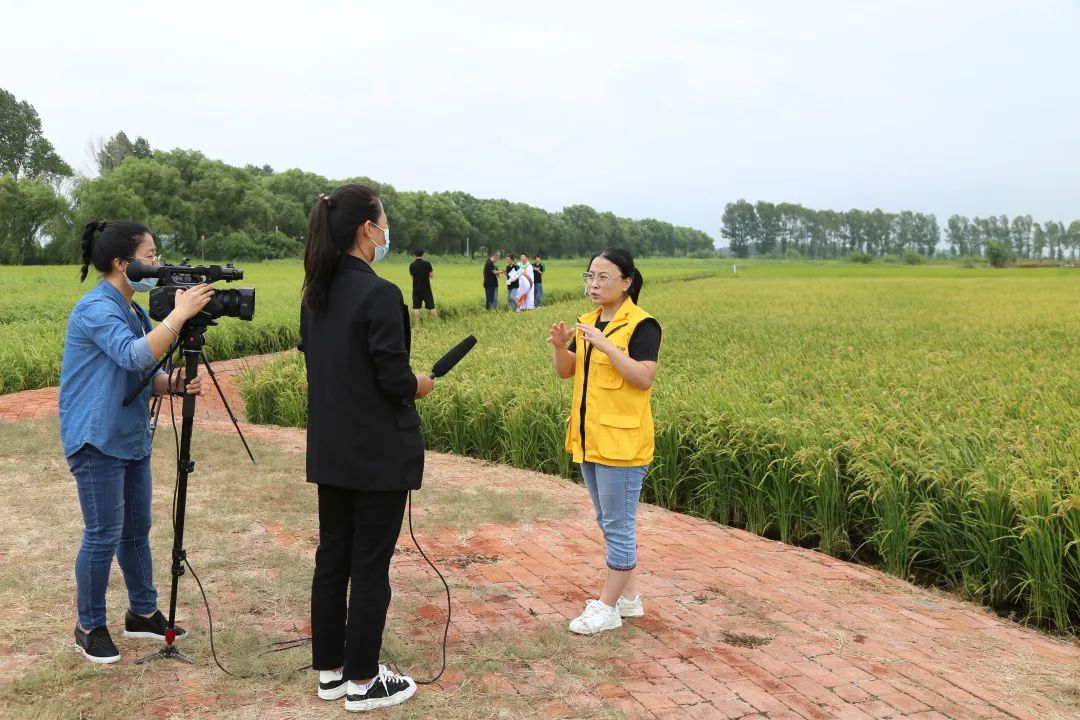 五常有机富硒大米简介（五常富硒米的功效和作用）-硒宝网