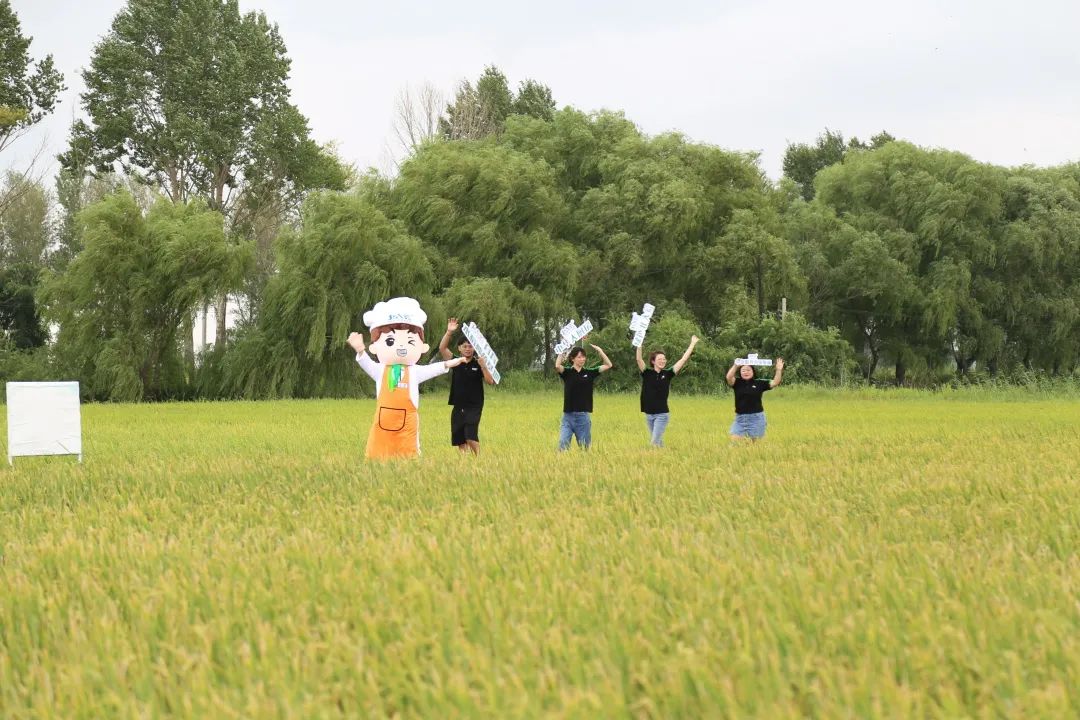 五常有机富硒大米简介（五常富硒米的功效和作用）-硒宝网