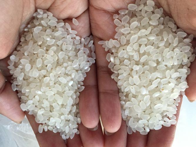 富硒五常大米如何包装(富硒大米包装简介)-硒宝网