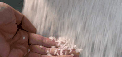 富硒大米适合什么人吃(富硒大米能补硒吗)-硒宝网