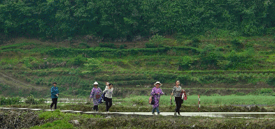 富硒大米适合什么人吃(富硒大米能补硒吗)-硒宝网