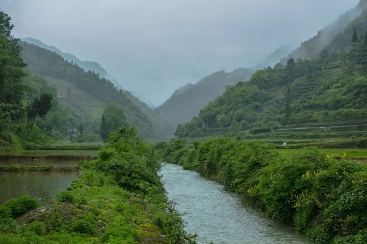 富硒大米适合什么人吃(富硒大米能补硒吗)-硒宝网