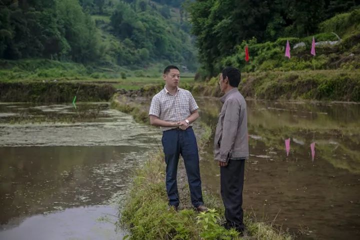 富硒大米适合什么人吃(富硒大米能补硒吗)-硒宝网