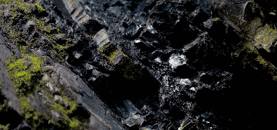 富硒大米适合什么人吃(富硒大米能补硒吗)-硒宝网