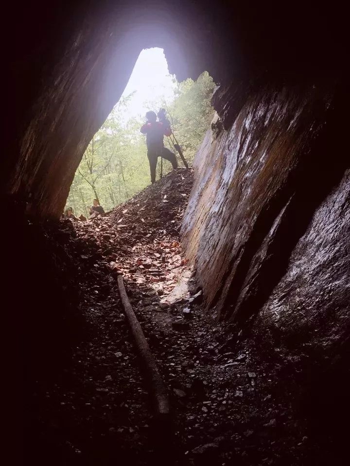 富硒大米适合什么人吃(富硒大米能补硒吗)-硒宝网