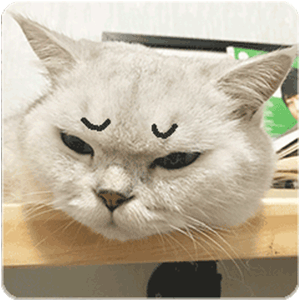 富硒五常大米如何包装(五常大米硒含量)-硒宝网