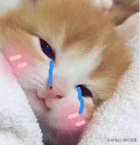 富硒五常大米如何包装(五常大米硒含量)-硒宝网