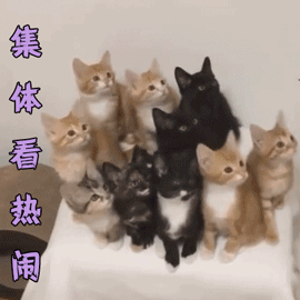 富硒五常大米如何包装(五常大米硒含量)-硒宝网