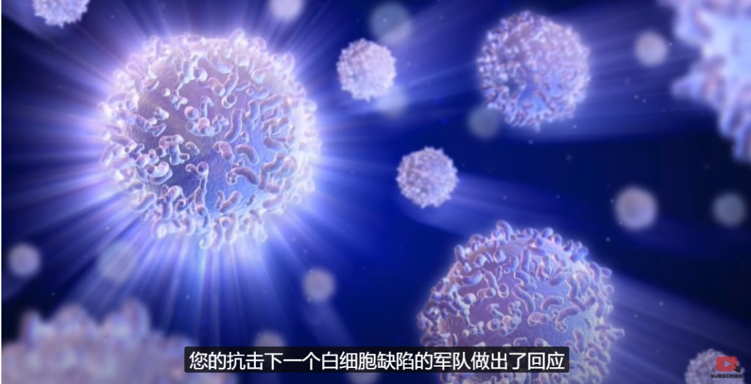 补锌副作用(补锌副作用)-硒宝网