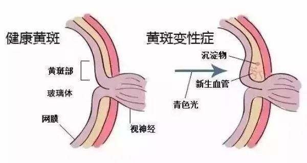 补锌副作用(补锌副作用)-硒宝网