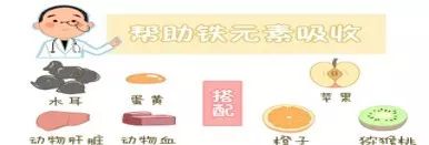 孕妇几个月补铁最好（孕妇补铁好补吗）-硒宝网