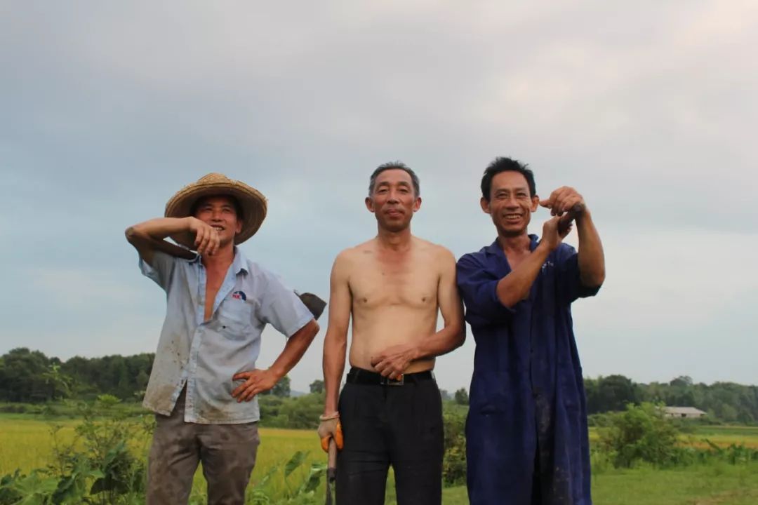 富硒大米龙胜龙脊梯田(龙潭富硒大米多少钱一斤)-硒宝网