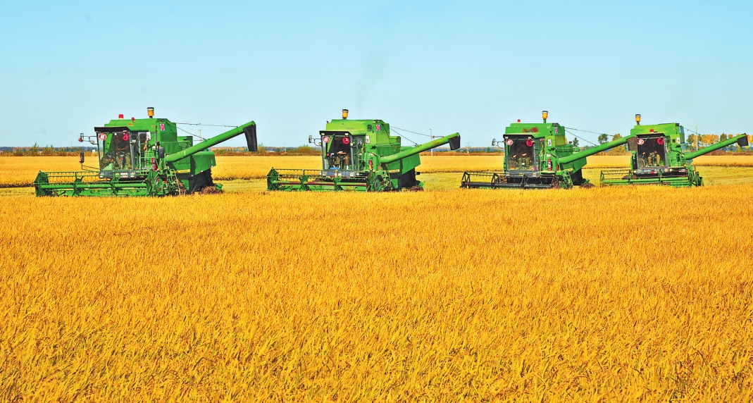 黑龙江富硒大米哪里产（黑龙江富硒大米多少钱一斤）-硒宝网