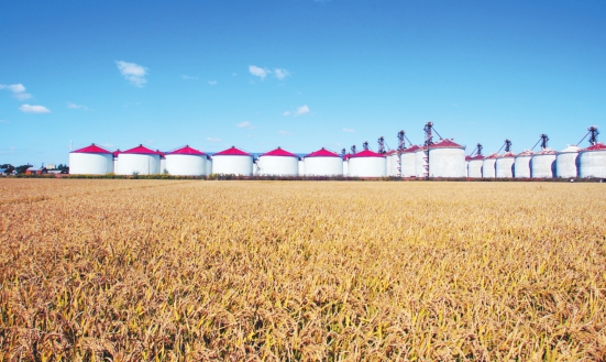 黑龙江富硒大米哪里产（黑龙江富硒大米多少钱一斤）-硒宝网