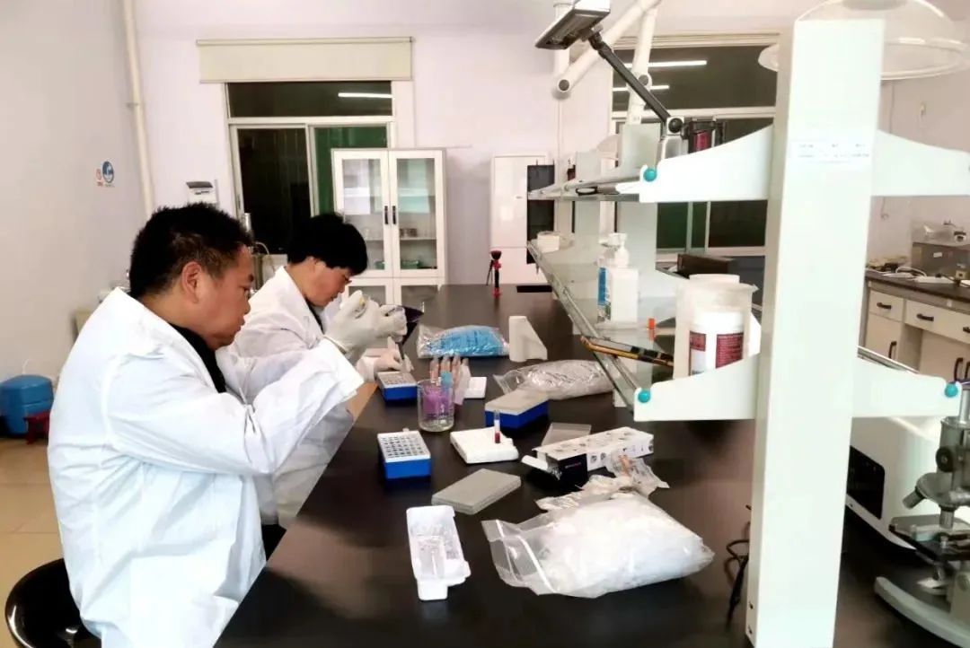 汉阴县漩涡镇富硒大米(汉中富硒大米)-硒宝网