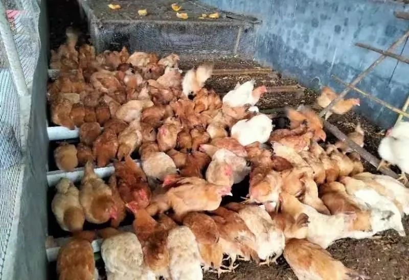 汉阴县漩涡镇富硒大米(汉中富硒大米)-硒宝网